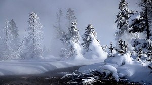 winter, river, evaporation, forest, snow