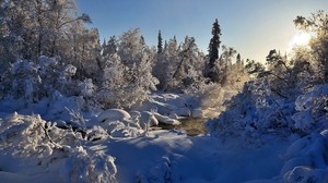 winter, river, steam, trees, snow