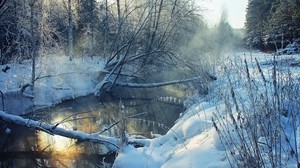 winter, river, snow, shore, hoarfrost, landscape, morning, tree