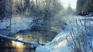 inverno, fiume, neve, sponda, brina, paesaggio, mattina, albero