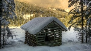 winter, snow, the house, construction, forest, spruce, trees, logs