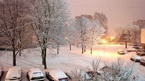 invierno, nieve, patio, auto, árboles, luces, luz