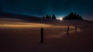 winter, snow, night, trees, light - wallpapers, picture
