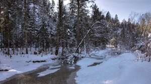 winter, snow, river, forest, landscape