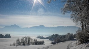 winter, snow, snowfall, sunlight, shine - wallpapers, picture