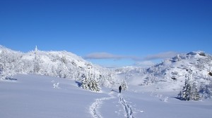 冬季，雪，雪堆，覆盖物，人，步行，狗，轨道，狩猎