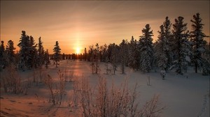 winter, snow, sunset, grass - wallpapers, picture