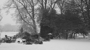 vinter, snöfall, park, träd, bord