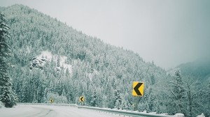 winter, pointers, forest, trees, turn, mountains - wallpapers, picture