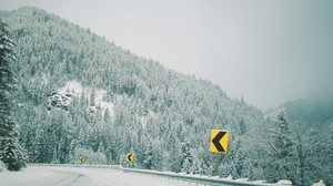 vinter, pekare, skog, träd, tur, berg