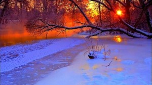 winter, sunset, evening, branches, tree, pond, frozen, snow