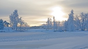 冬天，冬天风景，树木，雪，霜冻，美丽