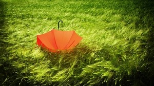 umbrella, grass, field, wind, bad weather