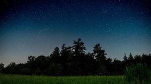 starry sky, trees, night, field