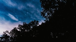 starry sky, trees, night, stars, clouds, dark