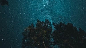 starry sky, trees, bottom view, night, branches