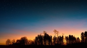 starry sky, trees, sunset, night, forest