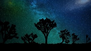 starry sky, joshua tree, milky way - wallpapers, picture