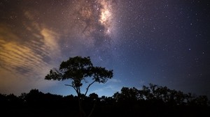 starry sky, tree, milky way, shine - wallpapers, picture