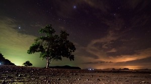 stjärnhimmel, träd, sand, natt, ko lanta, Thailand
