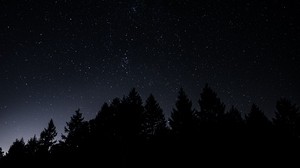 starry sky, trees, night, shine