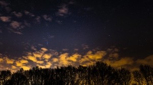 starry sky, trees, clouds, night