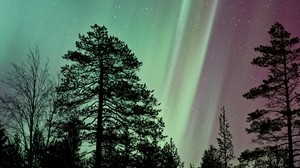 cielo stellato, alberi, aurora boreale