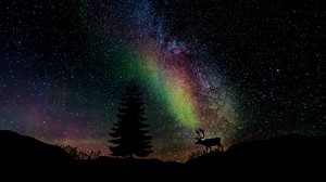 starry sky, spruce, deer, photoshop - wallpapers, picture