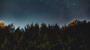 cielo stellato, mangiato, notte, alberi, cielo
