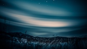 starry sky, horizon, night, grass - wallpapers, picture