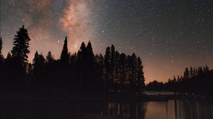 starry sky, milky way, trees, lake, night, stars