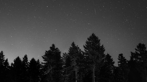 starry sky, night, black and white (bw)