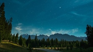 starry sky, night, trees, mountains