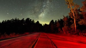 starry sky, night, road, light, trees - wallpapers, picture