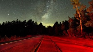 starry sky, night, road, light, trees