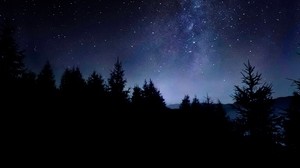 starry sky, night, stars, trees, dark
