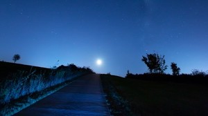 starry sky, rise, night, shine, horizon - wallpapers, picture