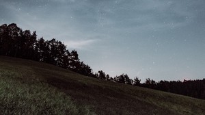 starry sky, field, grass, stars, horizon
