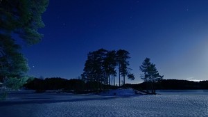 stjärnhimmel, vinter, snö, träd, natt, skymning