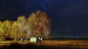 cielo stellato, stelle, alberi, notte, oscurità