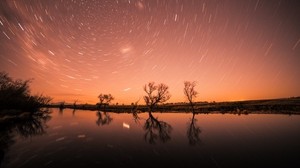 cielo stellato, stelle, alberi, splendore, notte, cielo